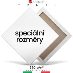 Malířské plátno na rámu PROFI ARTMIE/ speciální velikost
