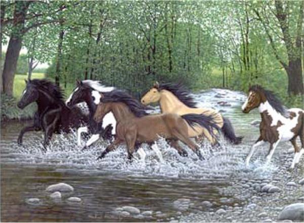 Kreativní set na malování - Běžící koně
