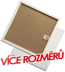 Plátno na rámu PROFI - Různé rozměry