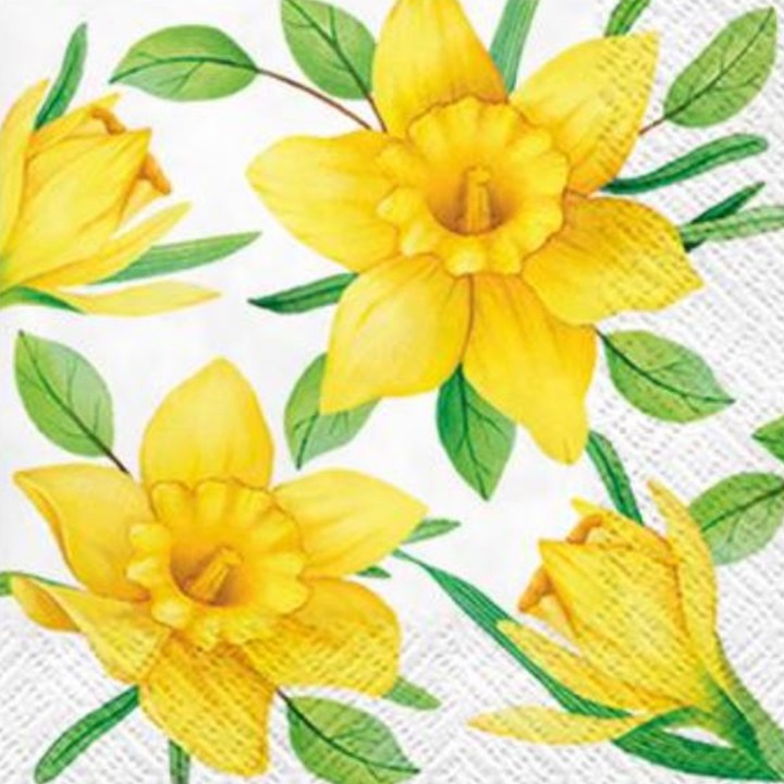 Ubrousky na dekupáž Daffodils in Bloom - 1 ks
