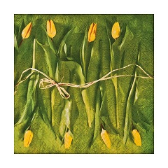 Ubrousky na dekupáž Fresh Tulips - 1 ks