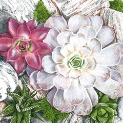 Ubrousky na dekupáž Succulent Plants and Stones Composition - 1 ks